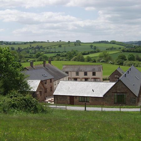 Swift Cottage Broadhempston Kültér fotó