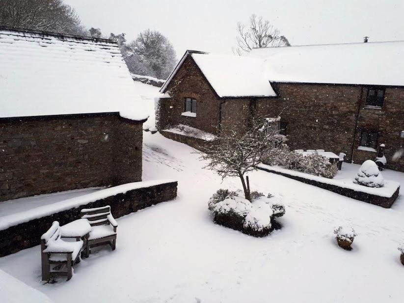 Swift Cottage Broadhempston Kültér fotó