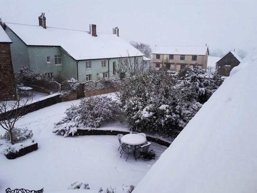 Swift Cottage Broadhempston Kültér fotó